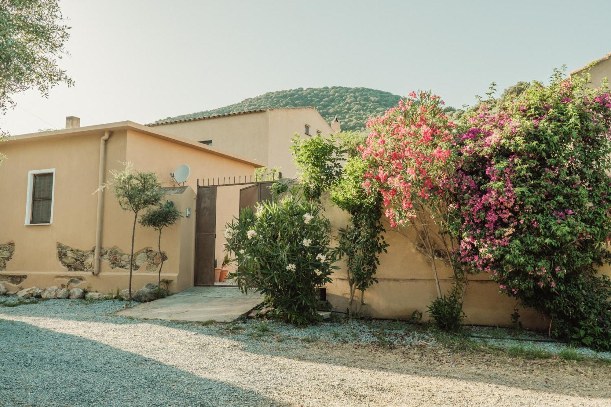 Villa Il Casale à Teulada Extérieur photo